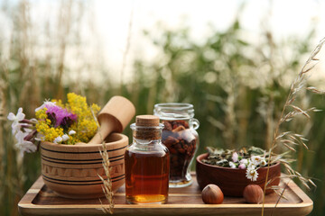 Tincture in bottle, different ingredients, mortar and pestle outdoors