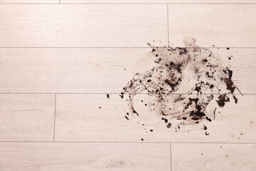 Mud stain on wooden floor indoors, top view. Space for text