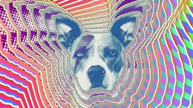 Seamless animation of cartoon style dog with rainbow colors and echo effect. Stop motion minimal animal art with pastel colors halftone style background.