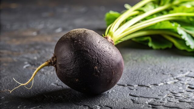 Close up of fresh radis noir, radish, black, vegetable, organic, healthy, nutrition, root, spicy, raw, food, salad