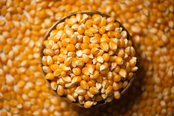 Dried corn grains