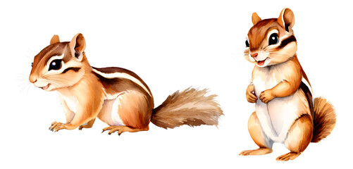 Obraz premium Set Chipmunk Watercolor Clipart Illustration. High-Quality Isolated Background. Perfect for designers and creatives, this set features adorable chipmunks in a watercolor style.