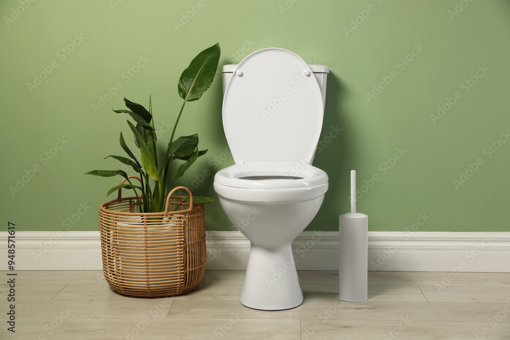 Sticker White toilet bowl and houseplant near green wall indoors