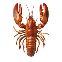 Top-View Lobster on Transparent Background