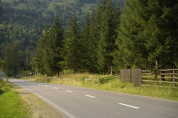 Naklejka premium Beautiful view of green trees and asphalt road in mountains