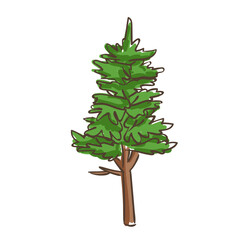 Hand Drawn Trees Pine