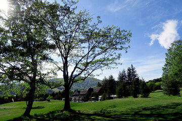 Blue sky and green land and white clouds