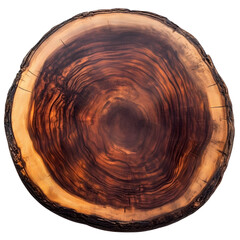 Top view smooth cross section tree stump slice with age rings wood grain isolated on white background.