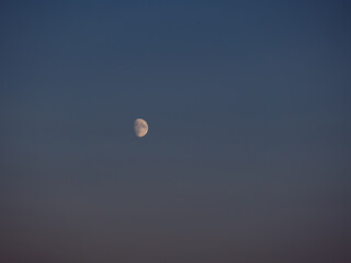 moon in the sky
