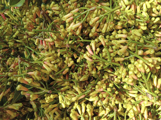top view photo of fresh cloves still with their stems