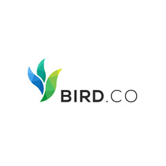 Bird.co Modern Logo Vector