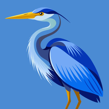 recommend clip art: Blue heron vector illustration isolated on white background 