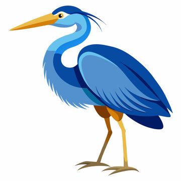 recommend clip art: Blue heron vector illustration isolated on white background 
