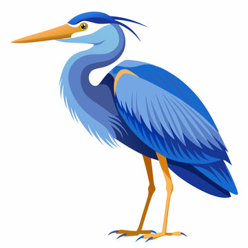 recommend clip art: Blue heron vector illustration isolated on white background 