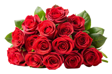 Bouquet of red roses isolated on a White background 