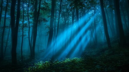Obraz premium Glowtime design Glowing light beams breaking through a dense fog in a dark forest, mysterious and captivating, forest magic, eerie and enchanting