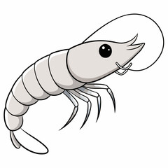 Pacific White Shrimp art vector