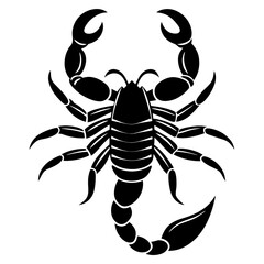 Scorpion contour minimalism silhouette vector illustration