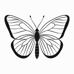 Black butterfly silhouette icon isolated on white background. Simple line drawing vector illustration