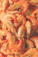 Shrimps background texture. A lot of shrimps. Cooked shrimps.