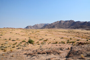 A desert landscape with sparse bushes all the way to the horizon. In the distance, small rocky mountains can be seen under the blue sky. Hot climate and dehydration