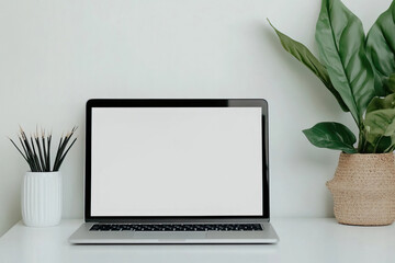 Fototapeta premium Minimalist workspace featuring a laptop, plant, and stationery against a pale background for a fresh, clean aesthetic.