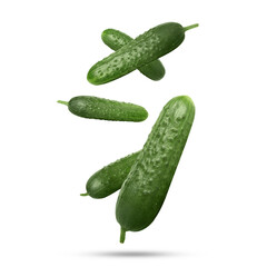 Whole ripe cucumbers falling on white background