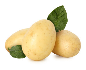 Potatoes and green leaves isolated on white