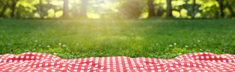 Picnic blanket on green grass during sunny day. Banner design with space for text