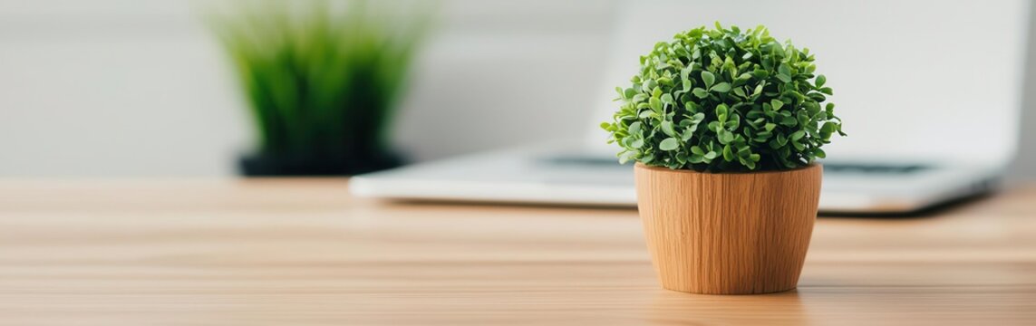 WordPress website development with customizable themes and plugins for a versatile and scalable site, website development, WordPress customization