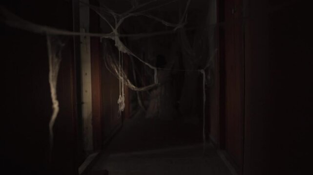 Walking through a haunted old abandoned house at night. Day of the Dead