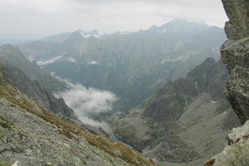 Summer mountain landscape