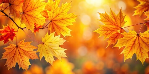 Close-up of vibrant yellow and orange autumn maple leaves, autumn, maple, leaves, vibrant, yellow, orange, close-up, fall