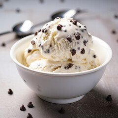 Vanilla Bean Ice Cream with Chocolate Chips