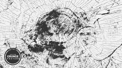 Obraz premium Abstract distress black and white grunge texture vector 