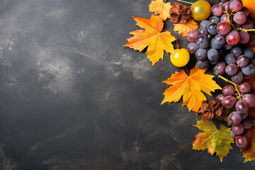 Fall/Autumn Harvest Still Life on Slate Surface