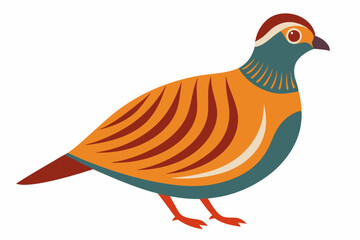 Cute bird partridge vector art illustration