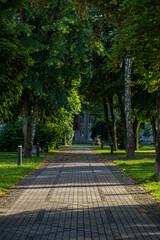 A serene park pathway lined with trees, leading to a distant building, with dappled sunlight...
