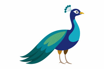 Cute bird peafowl vector art illustration