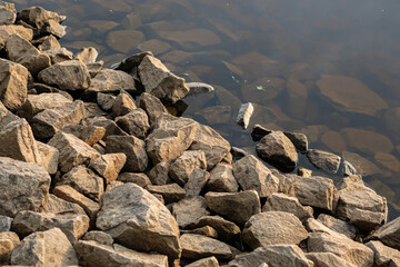Close-up of a rocky shore partially submerged in water. Large rocks make up a small climb. Some granite stones lie under water. A picture of calm in the evening sun.
