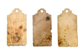 Set of used paper label tags stickers isolated on transparent background. PNG, cutout.