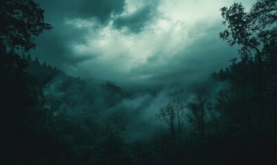 Fototapeta premium Dark and brooding clouds gathering over a dense forest