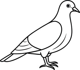 Obraz premium Sweet bird vector for young artist’s fun 