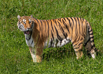 A great day in Cabarceno Park, with animals in semi-freedom!