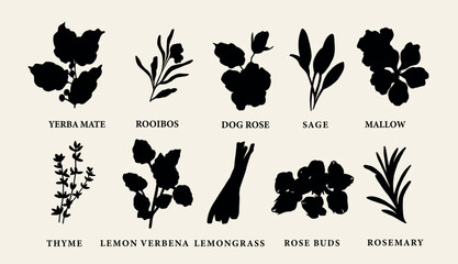 Obraz premium Flat vector tea herbs collection