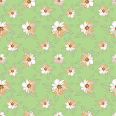 Colorful flowers and branchs whit shadow on a white backgeound.