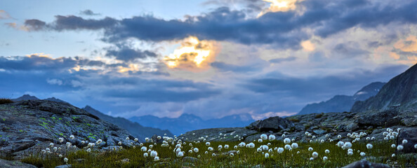 beautiful nature in the european alps panorama