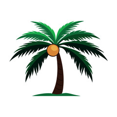 coconut tree with fruit in white background