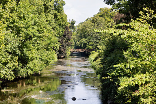 River Brigach in Donaueschingen in summer