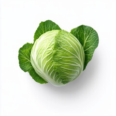 Fototapeta premium A top-down view of a whole green cabbage, emphasizing its natural texture and vibrant leaves on a white background.